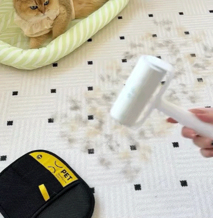 Pet Hair Remover Glove – Buy 1 Get 1 Free